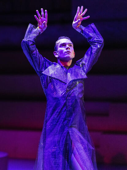 cinderello_Adrien Borruat